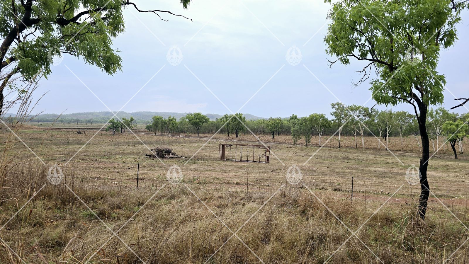 Search And Rescue Success The National Tribune